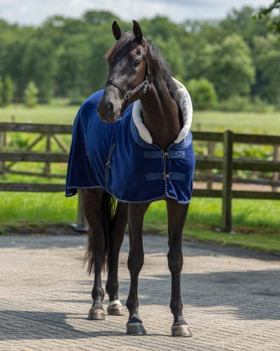 Derka polarowa QHP Brilliance Blueberry