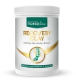 Glinka HorseLinePro Recovery Clay