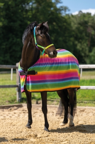 derka-polarowa-dla-kucyka-hkm-rainbow.jpg