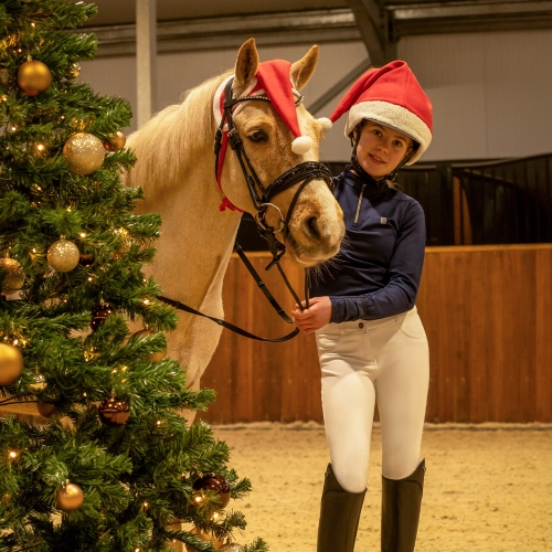 Nauszniki-swiateczne-QHP-Christmas-hat-2