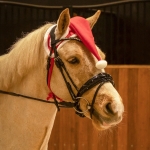 Nauszniki świąteczne QHP "Christmas hat"