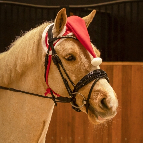 Nauszniki-swiateczne-QHP-Christmas-hat-1