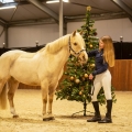 Skarpety-QHP-Christmas-2