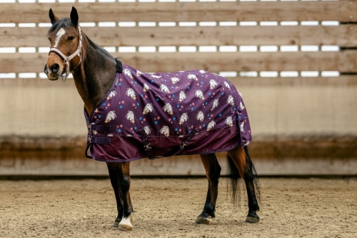 Derka-padokowa-dla-kucyka-EquiTheme-Licorne-600D-220g-1