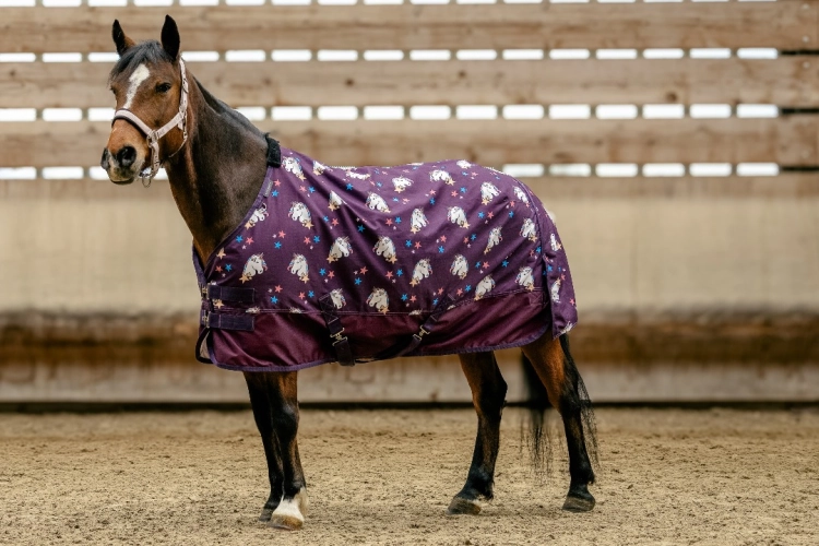 Derka-padokowa-dla-kucyka-EquiTheme-Licorne-600D-220g-1