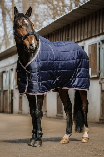 derka-stajenna-equitheme-aztec.jpg