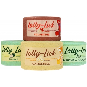 Lizawka solna HIPPO-TONIC "Lolly Lick" 700g