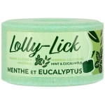 hippotonic-salt-lick-lolly-lick (4).jpg