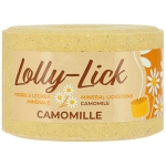 hippotonic-salt-lick-lolly-lick (2).jpg
