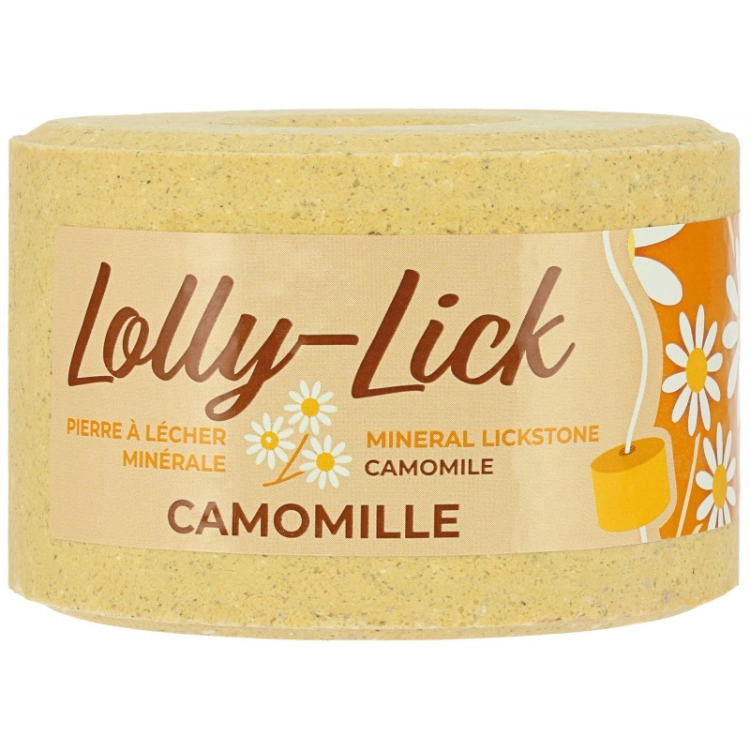 hippotonic-salt-lick-lolly-lick (2).jpg