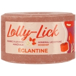 hippotonic-salt-lick-lolly-lick.jpg