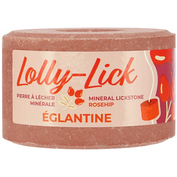 hippotonic-salt-lick-lolly-lick.jpg