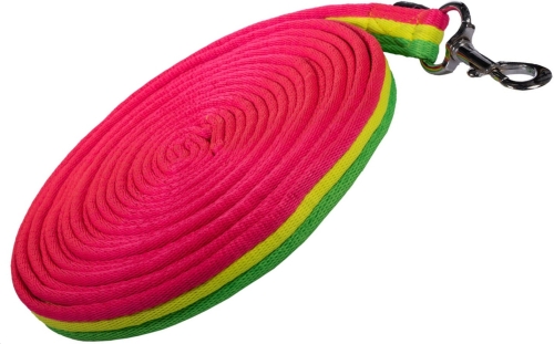 Lonza-HKM-Rainbow-1