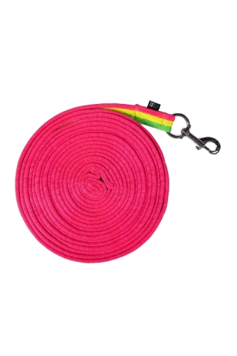 Lonza-HKM-Rainbow-2