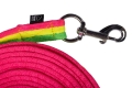 Lonza-HKM-Rainbow-4
