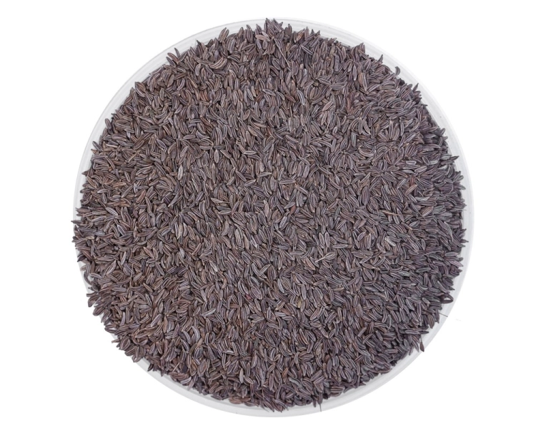 kminek-equiherbs-5.jpg