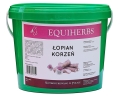 lopian-korzen-equiherbs-2.jpg