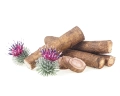 lopian-korzen-equiherbs-1.jpg