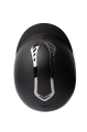 Kask-Horze-Caliber-black-carbon
