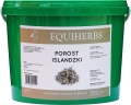 porost-islandzki-equiherbs-2.jpg