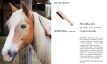 Szczotka-do-pielegnacji-grzywy-i-ogona-Lullalove-Super-Shine-03