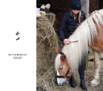 Szczotka-do-pielegnacji-grzywy-i-ogona-Lullalove-Super-Shine-04