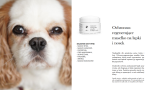 Ochronna-masc-na-lapy-dla-psa-Lullalove-Maselko-na-lapki-i-nosek-50ml-02