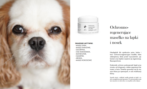Ochronna-masc-na-lapy-dla-psa-Lullalove-Maselko-na-lapki-i-nosek-50ml-02