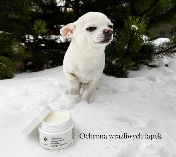Ochronna-masc-na-lapy-dla-psa-Lullalove-Maselko-na-lapki-i-nosek-50ml-08