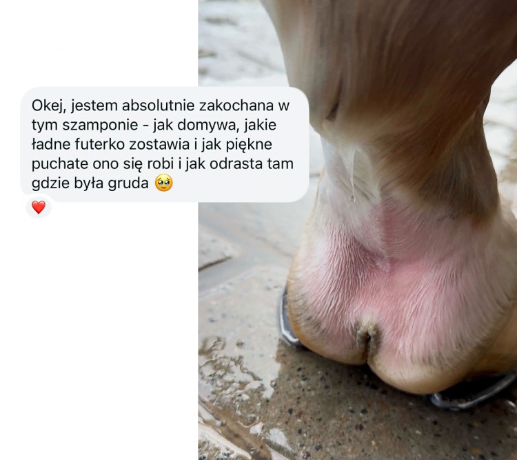 Szampon-na-grude-Lullalove-Bloto-i-Wilgoc-250ml-03