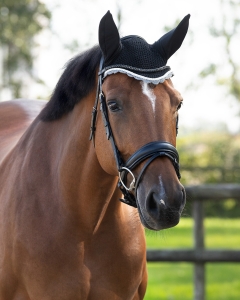 Nauszniki QHP "Color"