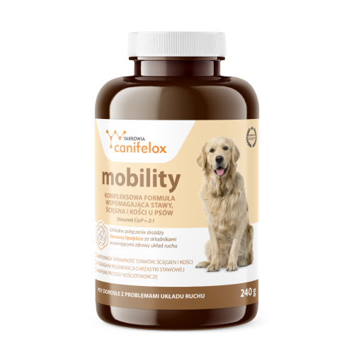 Preparat-na-stawy-sciegna-i-kosci-Yarrowia-Canifelox-Mobility-240g