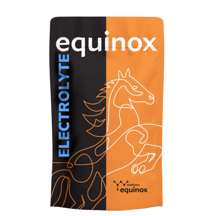Elektrolity-Yarrowia-Equinox-Electrolyte