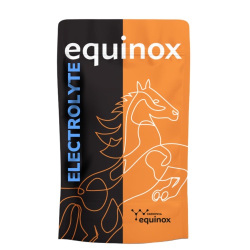 Elektrolity-Yarrowia-Equinox-Electrolyte