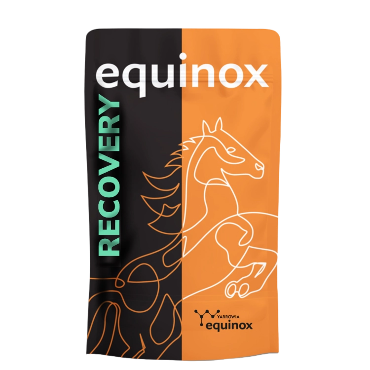 Dodatek-wspierajacy-regeneracje-Yarrowia-Equinox-Recovery-900g