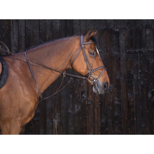 riding-world-running-martingale (3).jpg