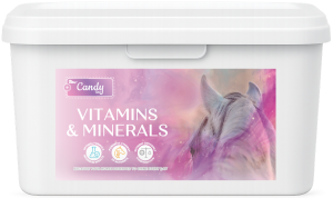 Dodatek mineralno-witaminowy BIOFEED Horse & Pony Candy "Vitamins & Minerals" 3,6kg