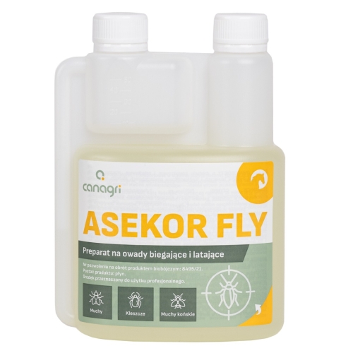 Asekor-fly-koni-4.jpg
