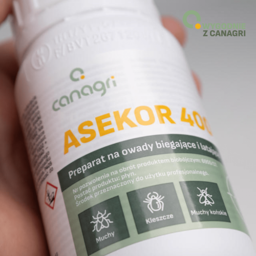 cleanlab-asekor-400-100-3.png