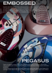 kep-pegasus.PNG