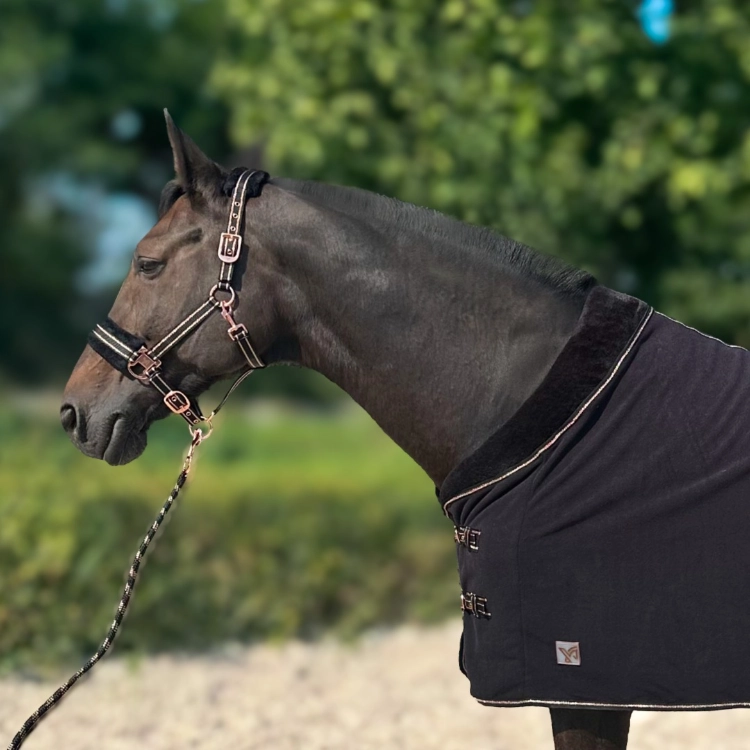 Derka-polarowa-York-Gold-Star-czarna-rosegold.jpg