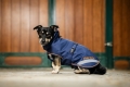 terapeutyczna-derka-dla-psa-Bucas-Therapy-Dog-Rug.jpg