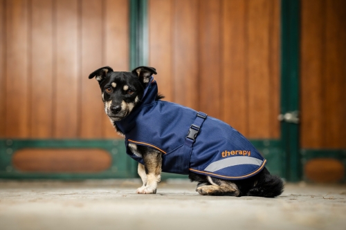 terapeutyczna-derka-dla-psa-Bucas-Therapy-Dog-Rug.jpg