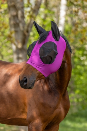 Maska-przeciw-owadom-Covalliero-FinoStretch-Zipper-SS2026-light-berry