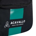 AC016-11.jpg