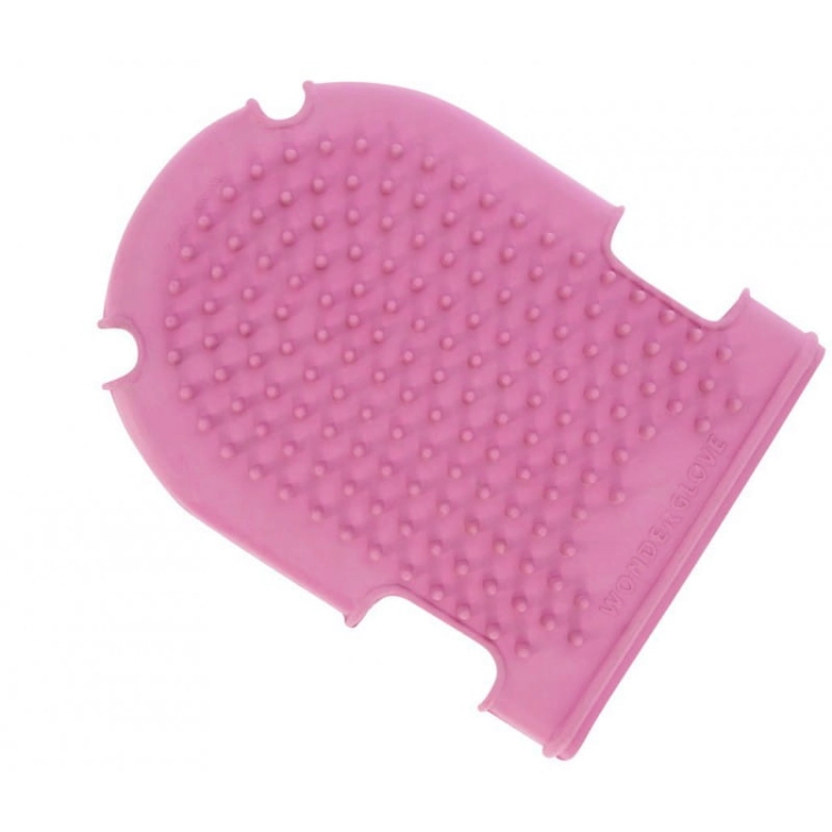 currying-glove-brush.jpg