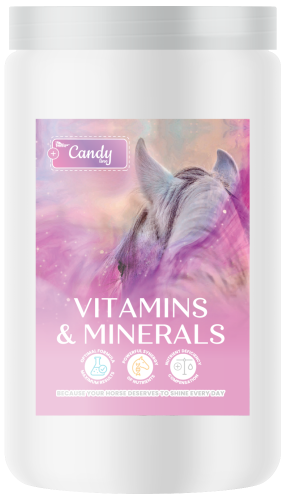 BIOFEED-Horse-Pony-Candy-Vitamins-Minerals-900-g.png