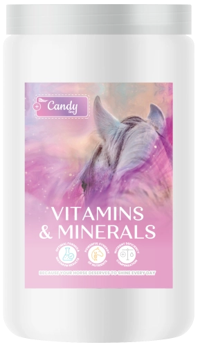 BIOFEED-Horse-Pony-Candy-Vitamins-Minerals-900-g.png
