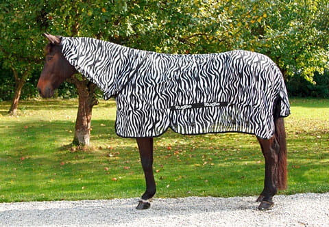 Covalliero Derka siatkowa RugBe Zebra
