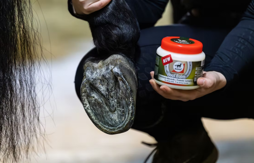 Balsam-do-kopyt-z-prebiotykami-Leovet-Hoof-Balm-Prebiotic-2